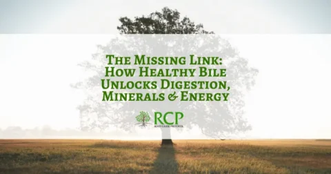 Webinar promo image - RCP Webinar September 2026 - The Missing Link: How Healthy Bile Unlocks Digestion, Minerals & Energy