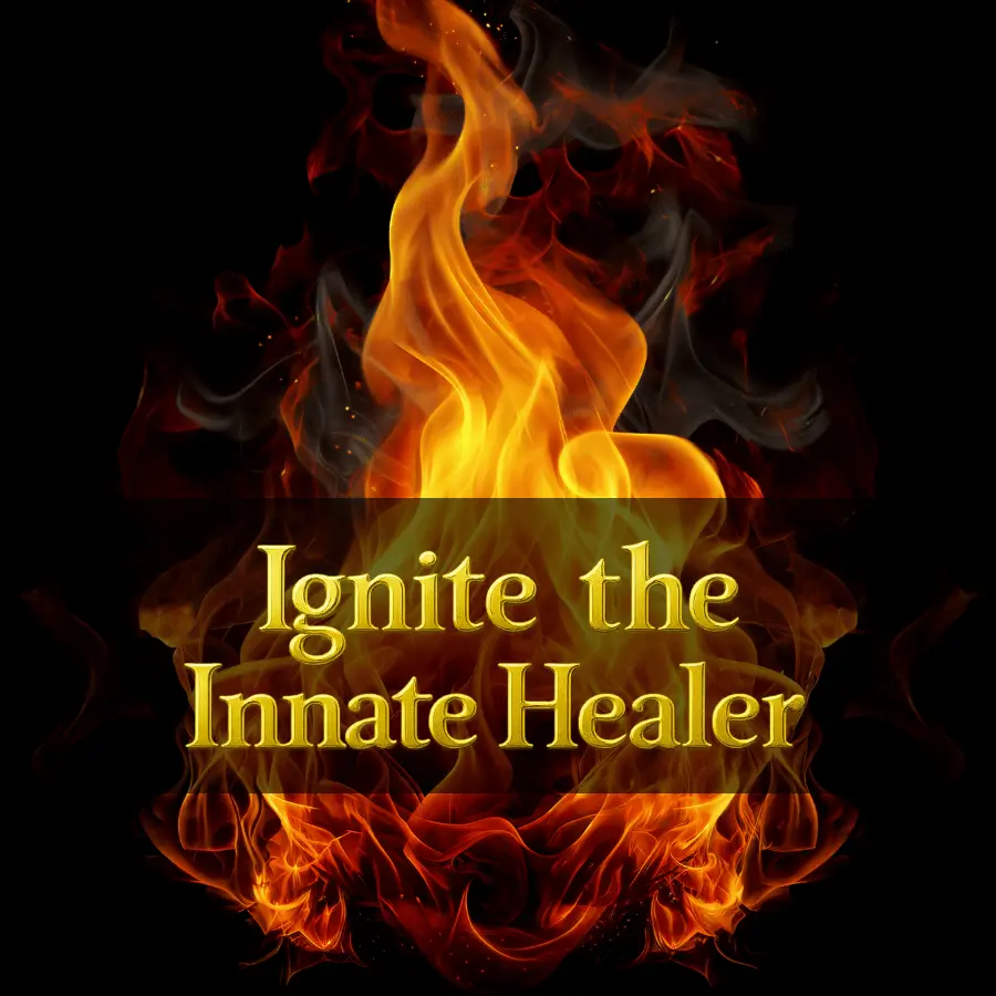 Innate-Healer-Conference
